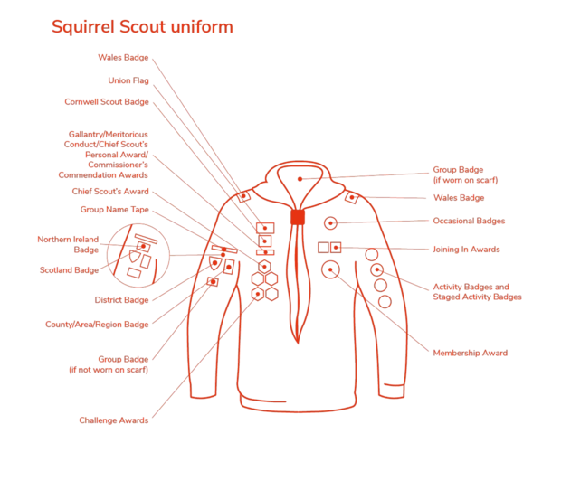 Squirrels in the woods